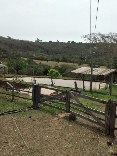 Pesqueiro Toninho